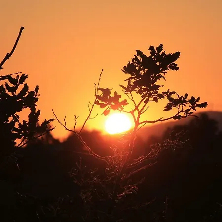 Kukuma Etxea Con Derecho A Cocina Country house Galarreta