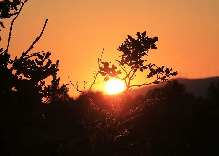 Kukuma Etxea Con Derecho A Cocina Country house Galarreta